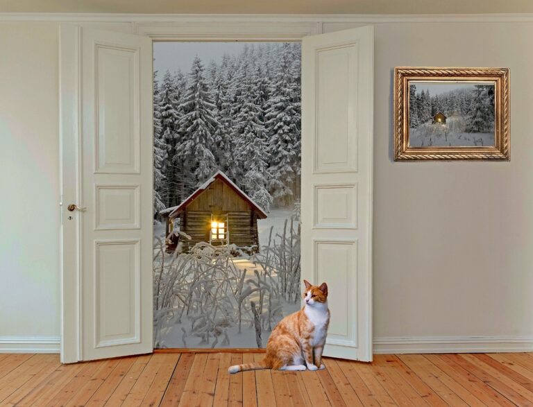 A cozy wooden cabin in the snow, seen through an open door, with a cat sitting inside. Represents transitioning between homes, ideal for expats selling property in Spain as non-residents.