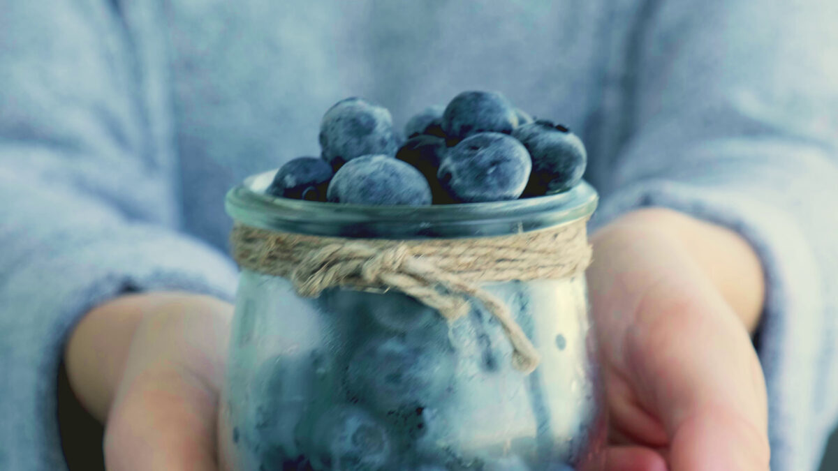 Blueberry Spain